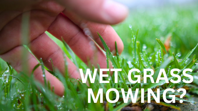 can-you-use-an-electric-lawn-mower-on-wet-grass Can You Use An Electric Lawn Mower On Wet Grass or In the Rain?