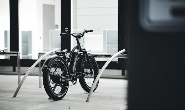 ebike 1